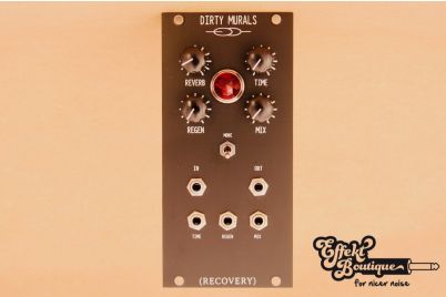 Recovery Effects - DIRTY MURALS EURORACK MODULE Delay and Reverb